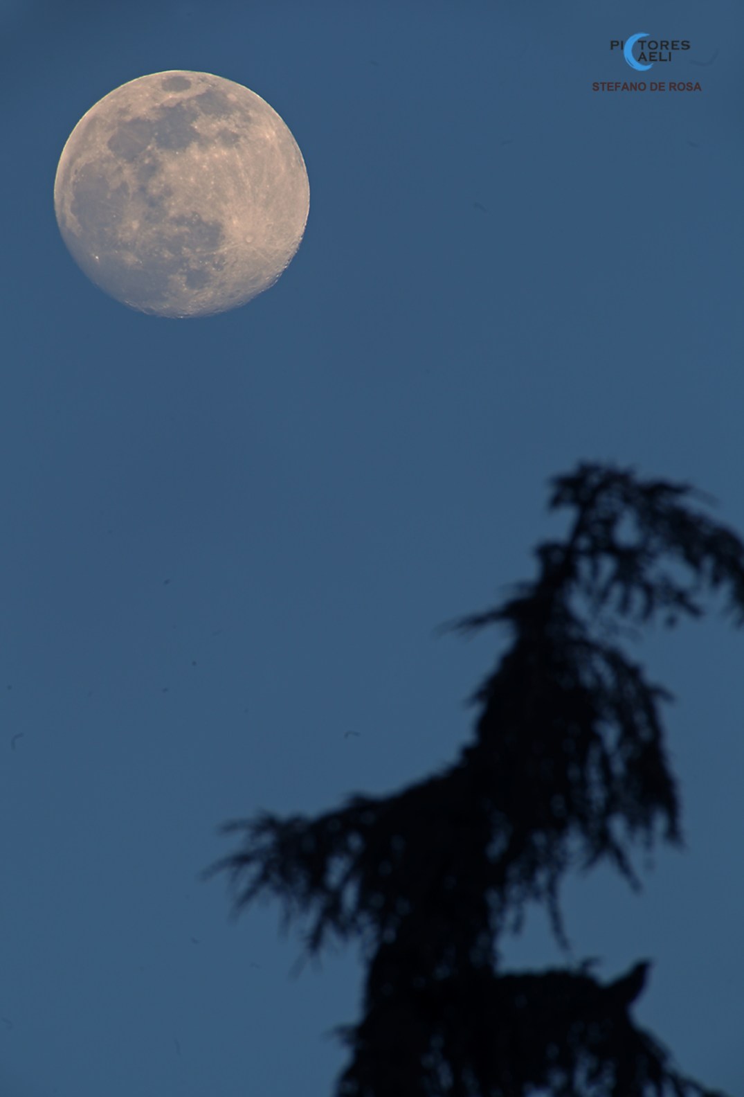 Waiting for the SuperMoon_2